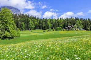 Gasthof-Ferienwohnungen Dürrlehen (DE Berchtesgaden) - Stanger Michael - 13011-Panorama