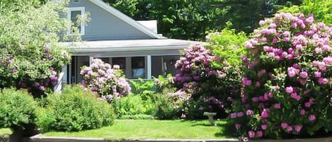 Jardines del alojamiento