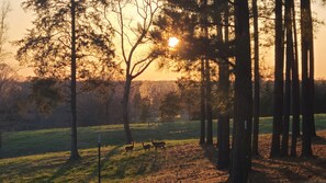 Enjoy nature while walking the many gravel roads and trails at Sandy Creek Farms