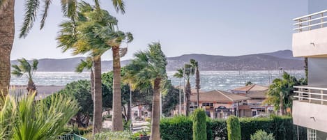 Ciel, Plante, Propriété, L'Eau, Bleu Azur, Arbre, Arecales, Végétation, Biome, Loisir