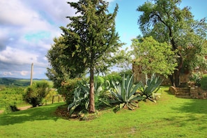 Trädgård