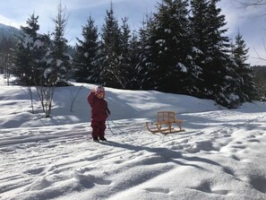 Snow and ski sports