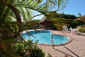 Many spots to hang out around the property: the pool, the jacuzzi and hamacs