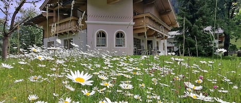 Großer Garten / Big private garden