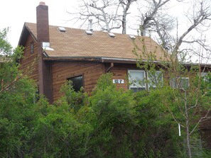 The Mayer House is hidden from view from the street by a six foot tall hedge.