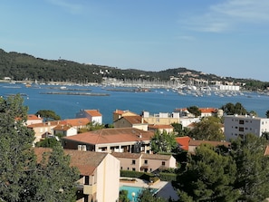 Vue de face baie de tamaris 