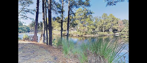 11 Mile Lagoon. Rental has 4 Beach Chairs, and a Cart but is not gauranteed.