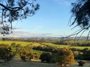 The view of McLaren Vale from The Gums
