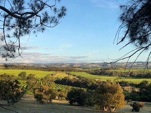 The view of McLaren Vale from The Gums
