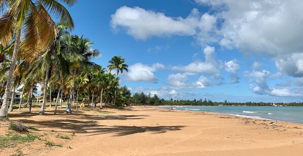 Strand