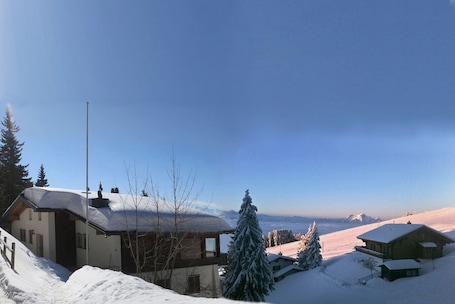 Esterni