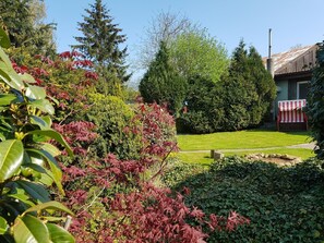 Area that directly surrounds the property