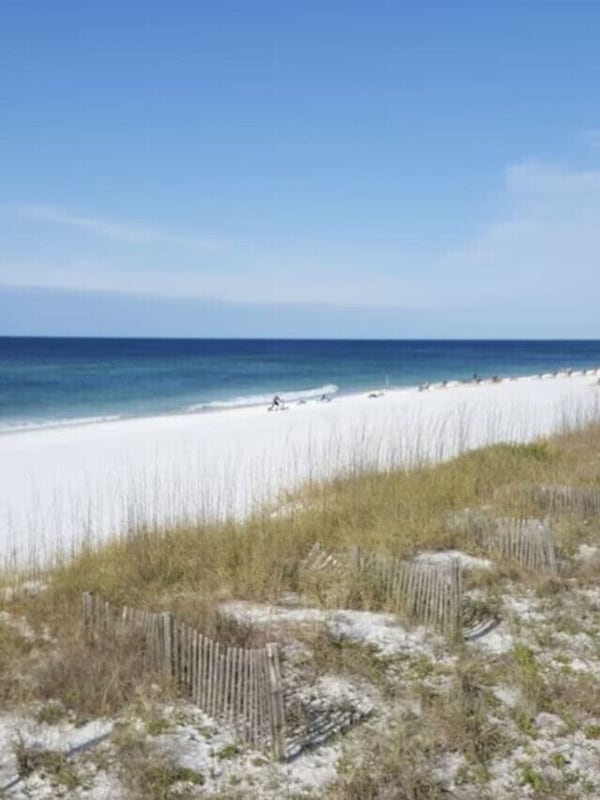 The Gulf of Mexico