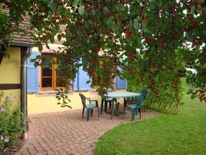 enjoying the shade of the cherry tree in Summer