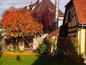 The garden in Automn