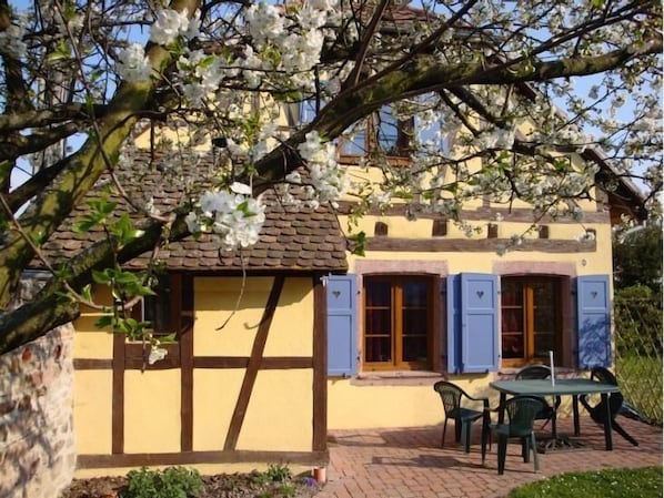 das Haus im Frühling