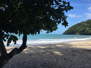 Etty Bay beach breezy spot under the trees.