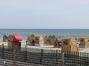 Frühherbst.
Die Sandschutzzäune sind bereits aufgestellt.