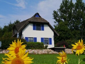 Haus Zauberblau