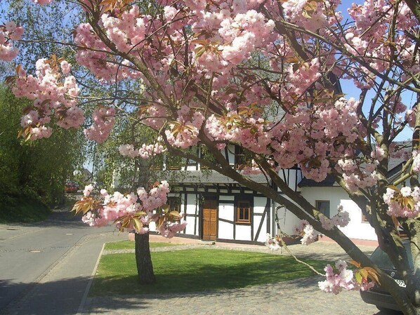 Boendeområde