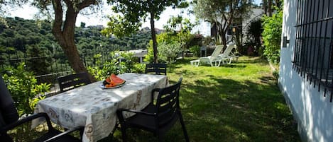 Garten. vollständig umzäunt, mit 2 Liegestühlen und schattenspendenden Olivenbäumen