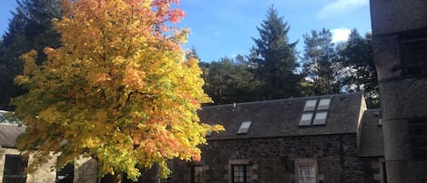 Außenansicht des Gebäudes. Innenhof