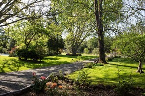 Beautiful landscaped yard