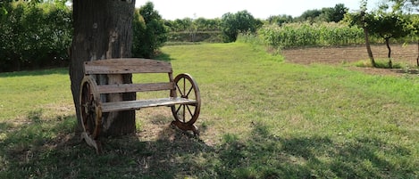 Area that directly surrounds the property. Green spaces