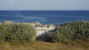 Area that directly surrounds the property
