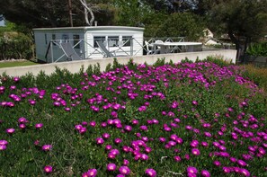 Mobil-home in spring