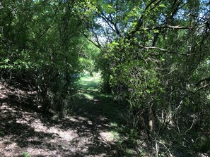 Shaded River Trail down to River