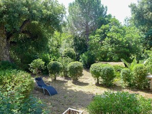 Vegetation, Garden, Natural Landscape, Tree, Property, Botanical Garden, Plant Community, Shrub, Nature Reserve, Botany