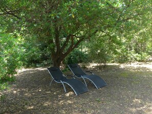 Tree, Nature Reserve, Woodland, Woody Plant, Leaf, Plant, Plant Community, Grass, State Park, Tent
