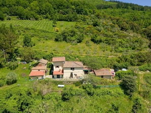 Plante, Communauté Des Plantes, Écorégion, Paysage Naturel, Arbre, Lot Terre, Maison, Chalet, Montagne, Zone Rurale