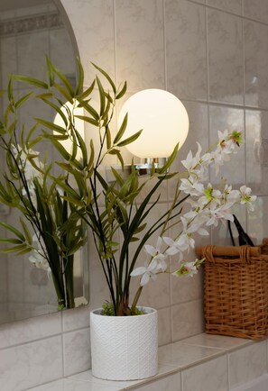 Salle de bains / douche