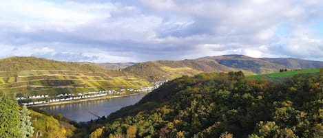 Vue de la fenêtre