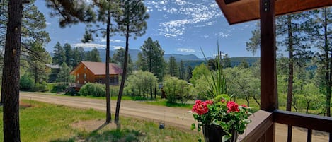 Pristine yard and mountain views