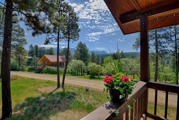 Pristine yard and mountain views