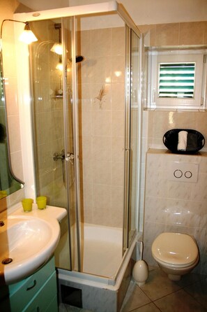 Salle de bains / douche