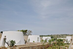 Vista desde la propiedad