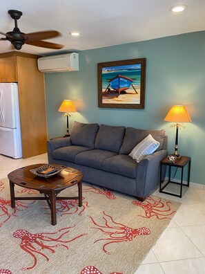 Front Room with Queen sofa bed
