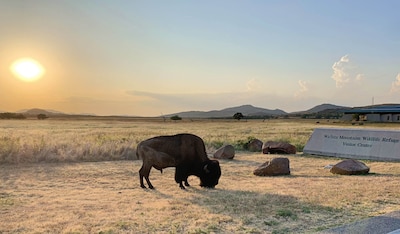 NEW Iron Door Cabin at The Lazy Buffalo Wichita Mountains Cache Lawton Fort Sill