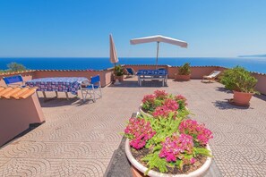the roof terrace