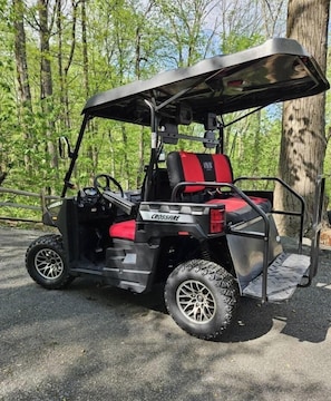 Complimentary 4 Seat Gas Golf Cart to get down to the resort/beach and back! Super fun!