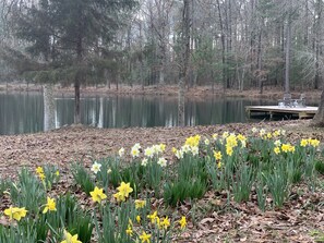 Wildflowers in bloom in spring 