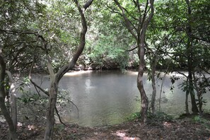 Fightingtown Creek access via trail in front of cabin