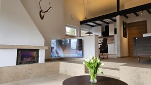 Kamin und Fernseher