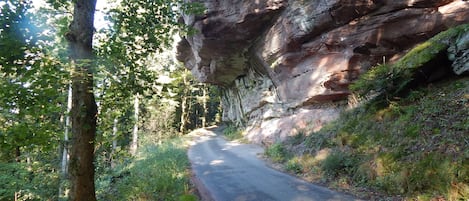 Enceinte de l’hébergement