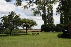 Garten. großer Garten