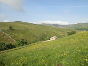 Terrain de l’hébergement 